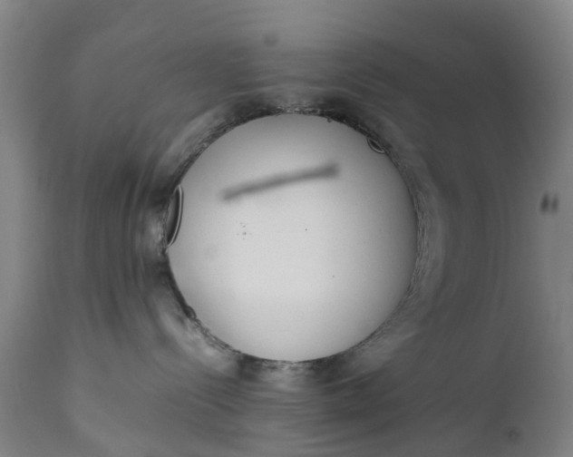 X0000111650288200907311324