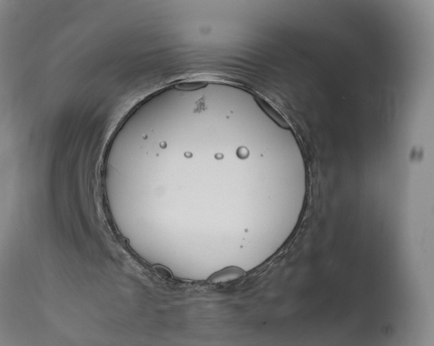 X0000111650289200907311323