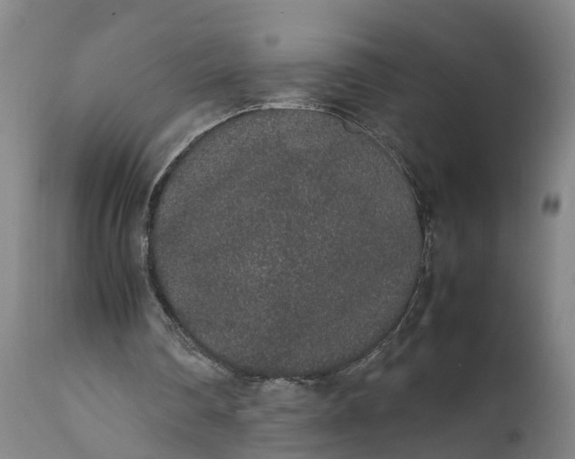 X0000111650290200907311323