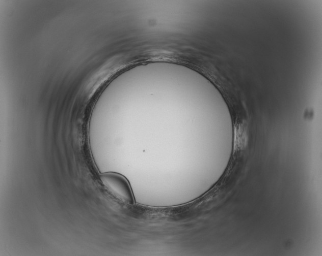 X0000111650291200907311323