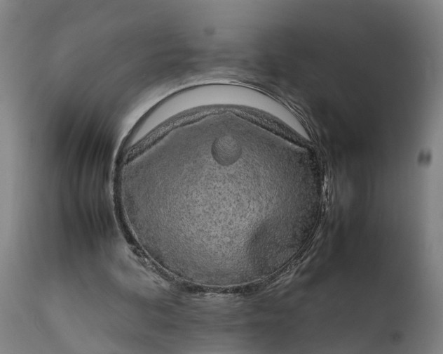 X0000111650292200907311323