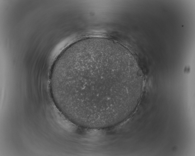 X0000111650293200907311323