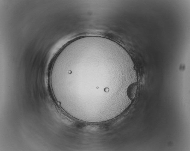 X0000111650294200907311323