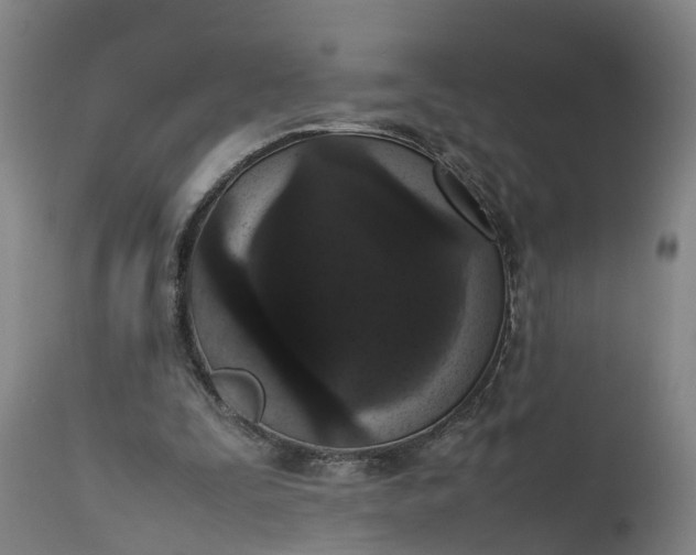 X0000111650295200907311323