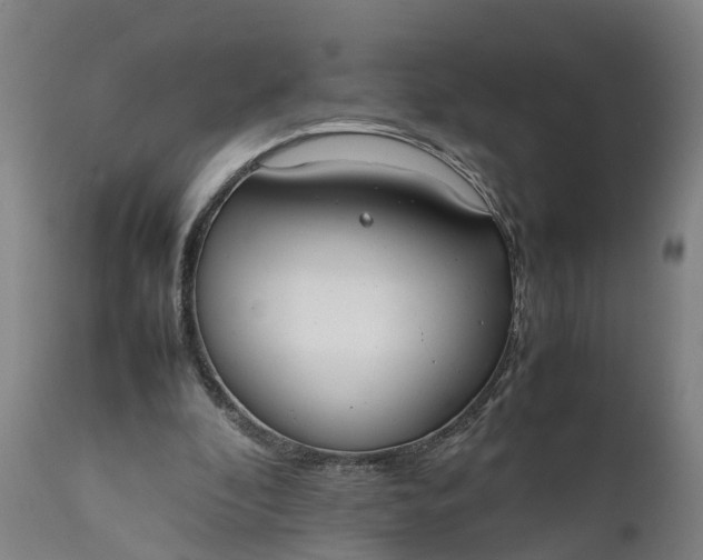 X0000111650296200907311323