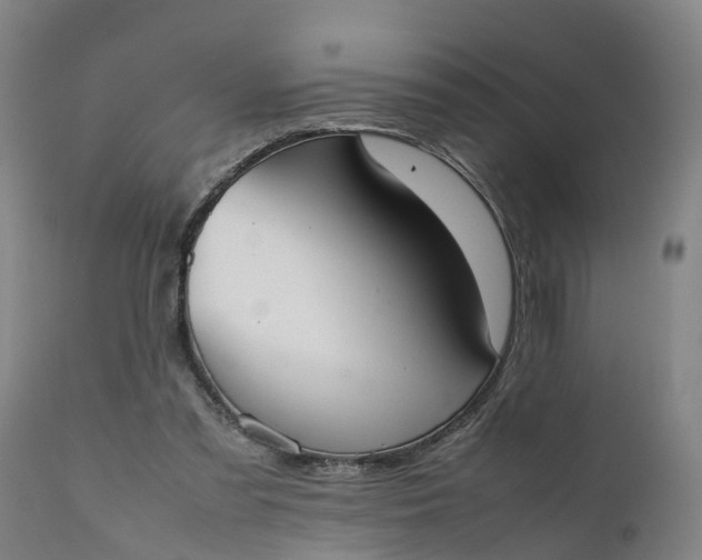 X0000111650301200907311323