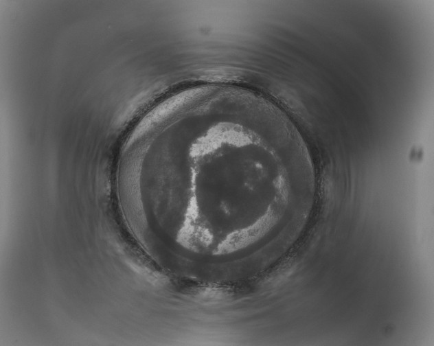 X0000111650303200907311323