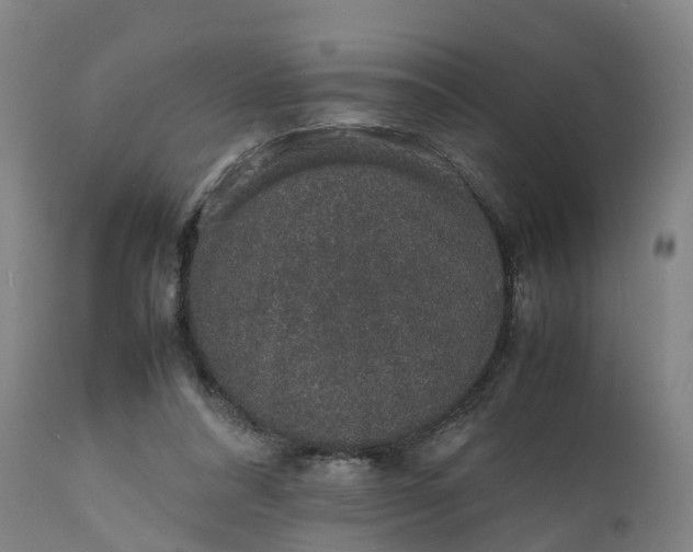X0000111650304200907311323