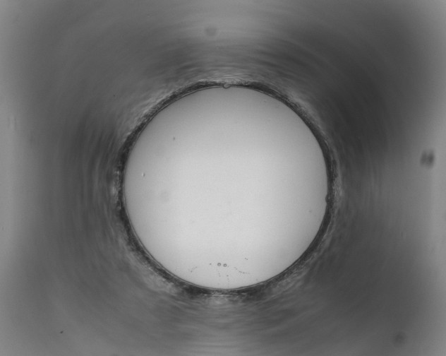 X0000111650305200907311323