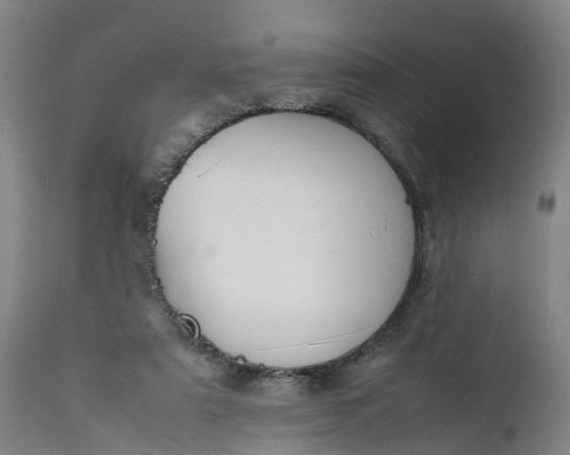 X0000111650307200907311323
