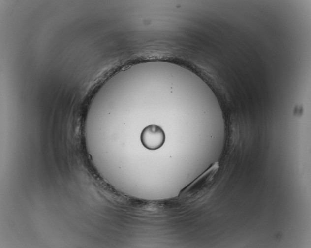 X0000111650308200907311323