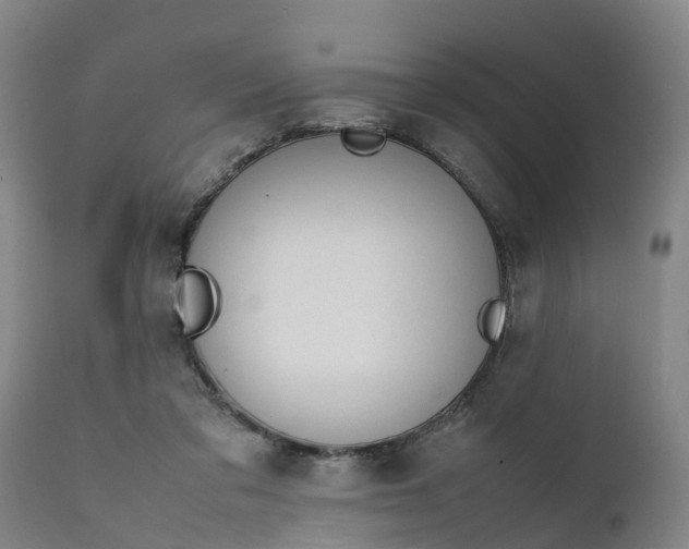 X0000111650309200907311323