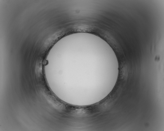 X0000111650310200907311323