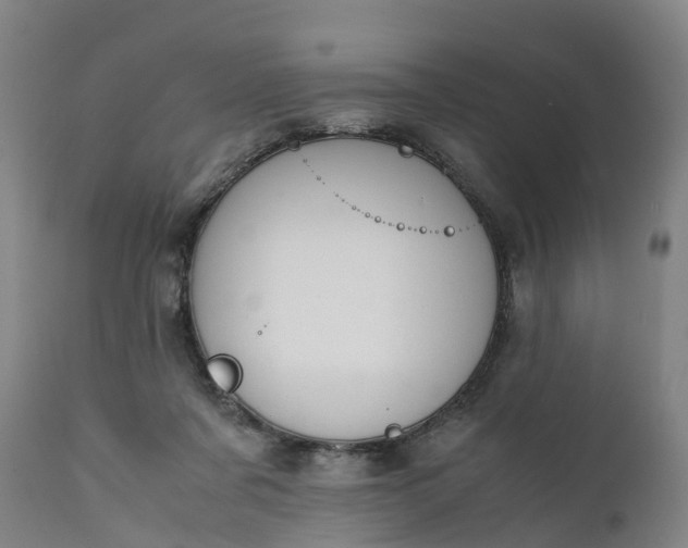 X0000111650311200907311323