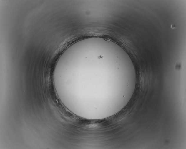 X0000111650312200907311323