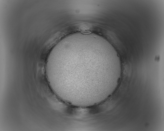 X0000111650313200907311323