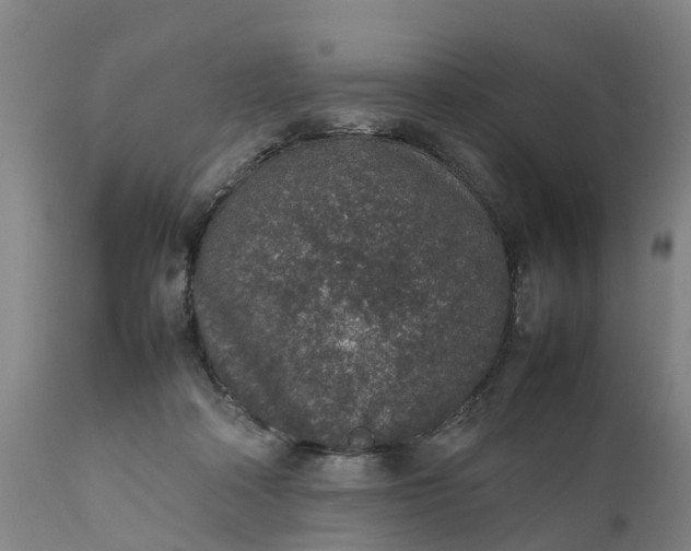 X0000111650314200907311323
