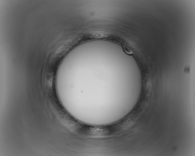 X0000111650315200907311323