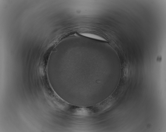 X0000111650316200907311323