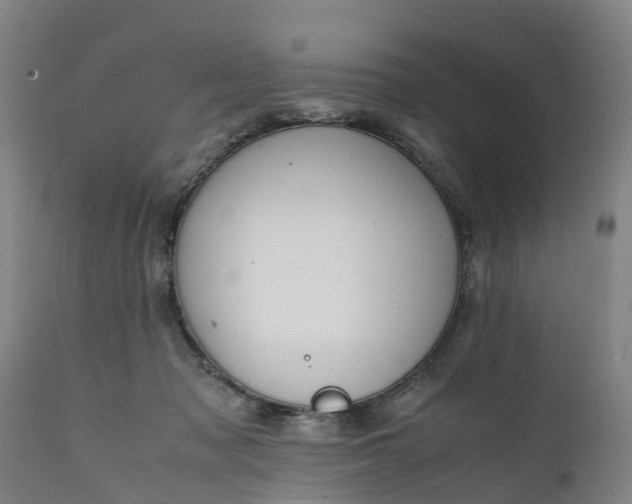 X0000111650317200907311322
