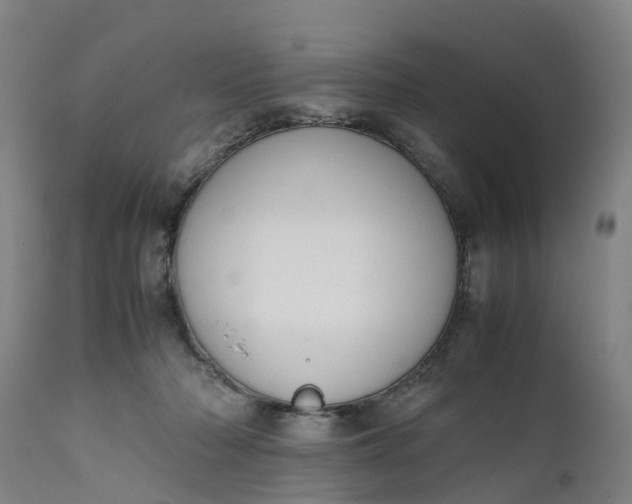 X0000111650318200907311322