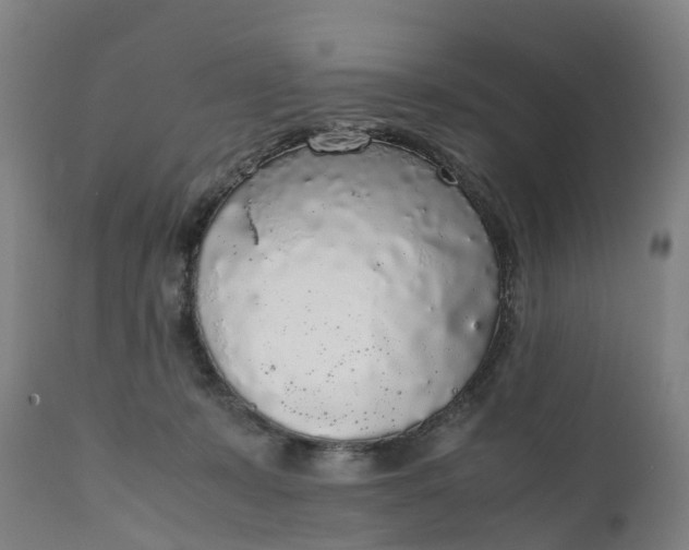 X0000111650319200907311322