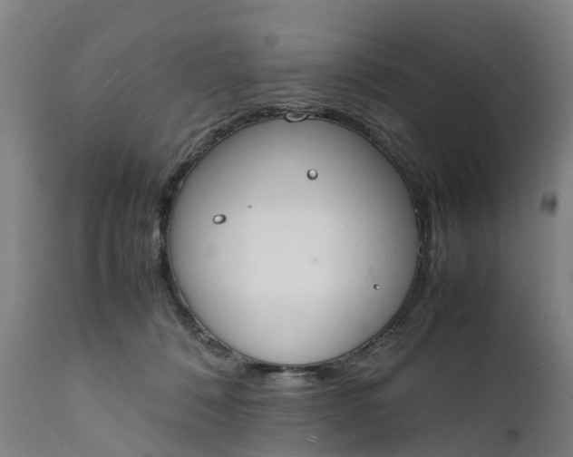 X0000111650320200907311322