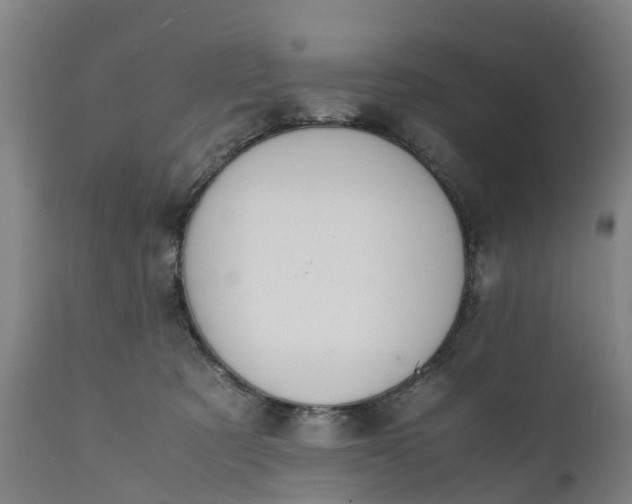 X0000111650321200907311322
