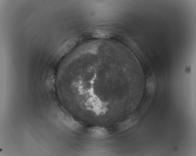 X0000111650322200907311322