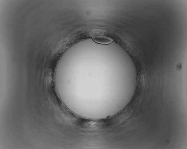 X0000111650323200907311322