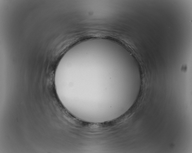 X0000111650325200907311322