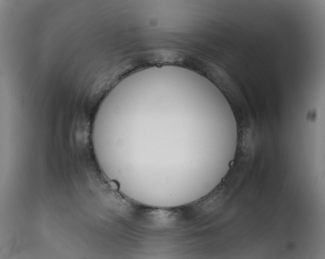 X0000111650326200907311322