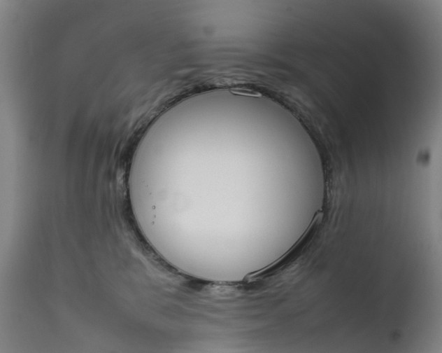 X0000111650327200907311322