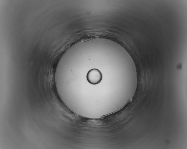 X0000111650328200907311322