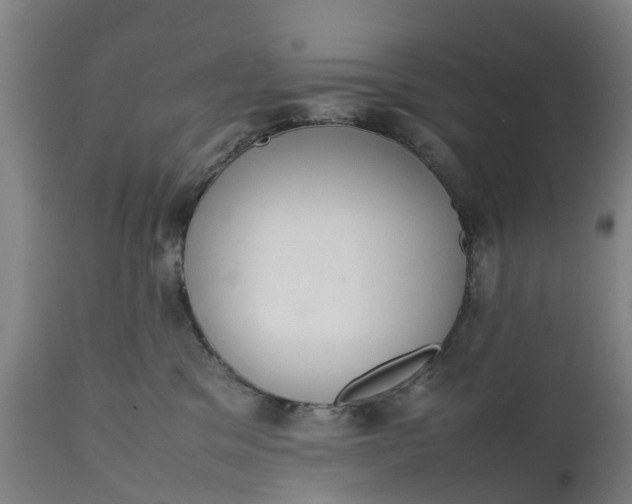 X0000111650329200907311322