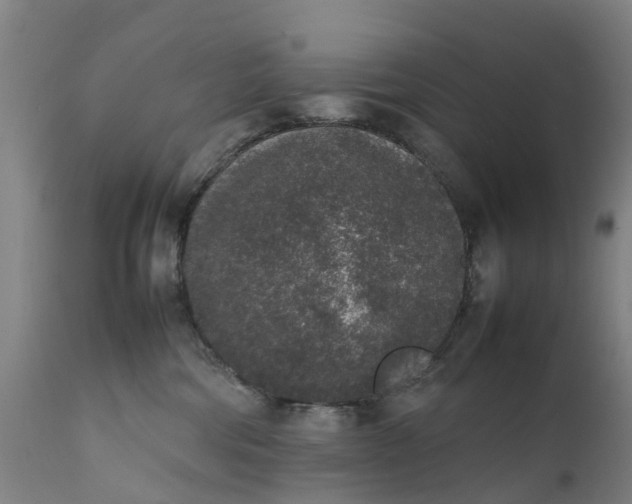X0000111650330200907311322
