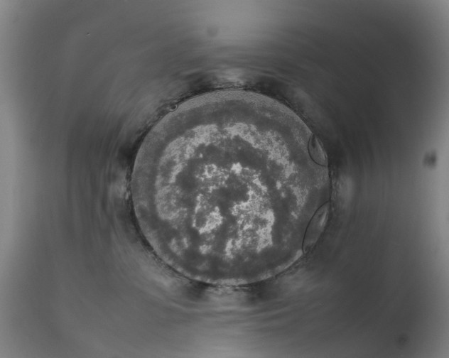 X0000111650331200907311322