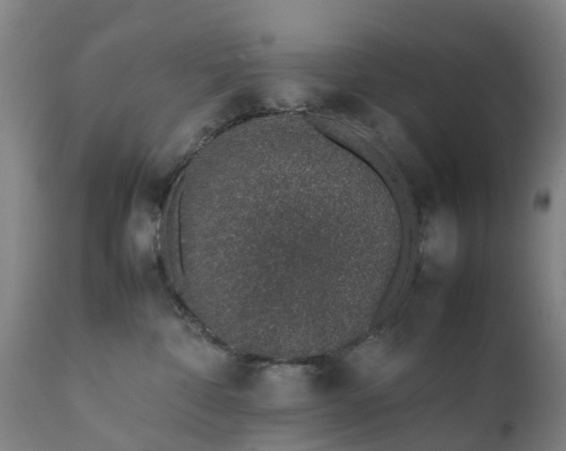 X0000111650332200907311322