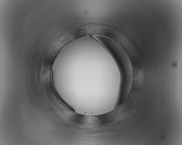 X0000111650333200907311322