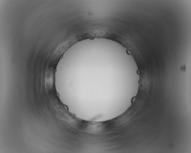 X0000111650334200907311322
