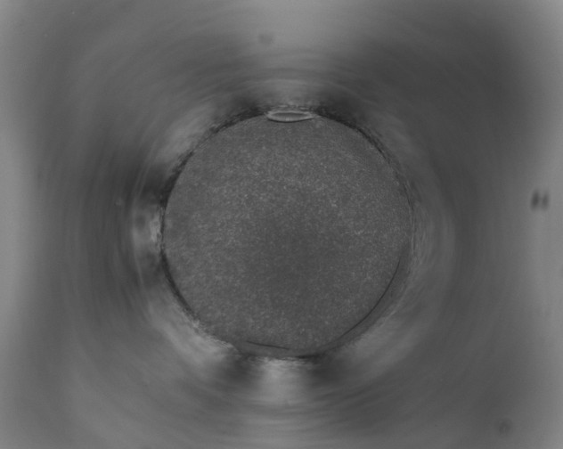 X0000111650336200907311322