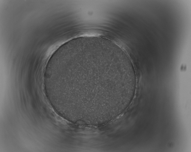 X0000111650337200907311322