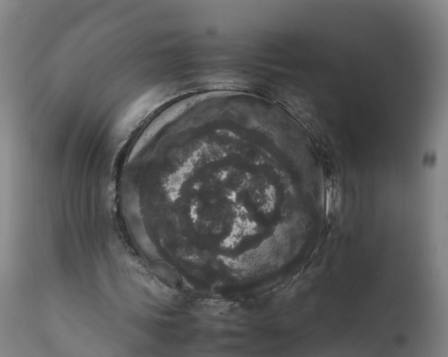 X0000111650339200907311322