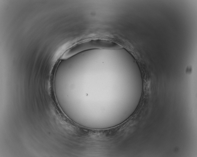 X0000111650340200907311322