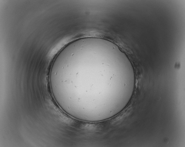 X0000111650341200907311322