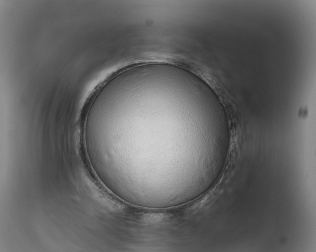 X0000111650342200907311322