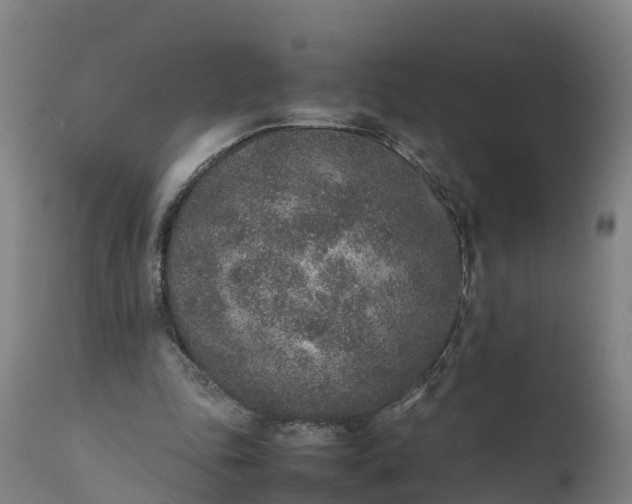 X0000111650343200907311322