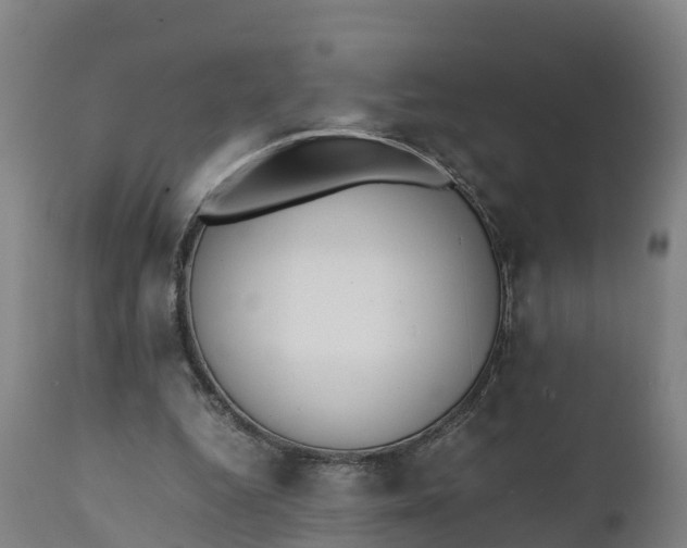X0000111650344200907311322