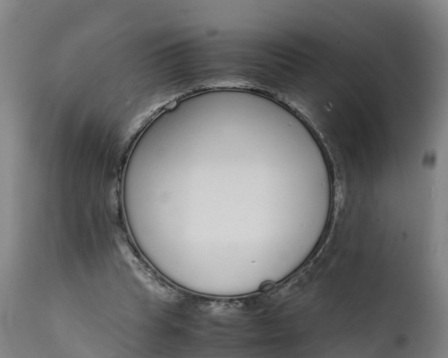 X0000111650345200907311322