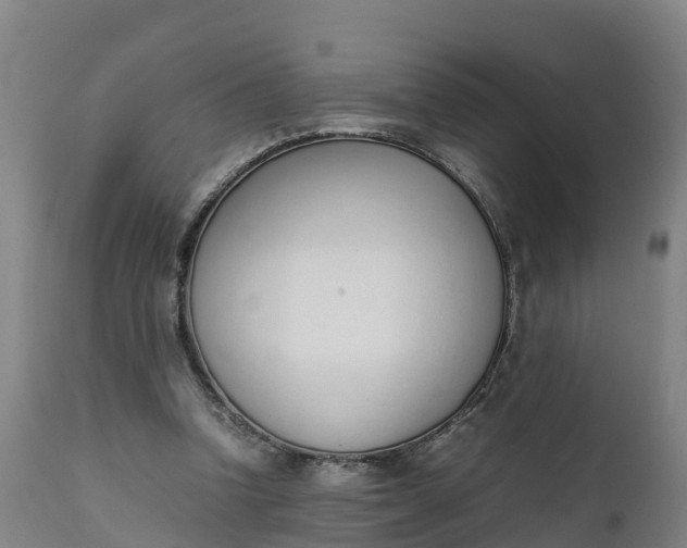X0000111650346200907311322